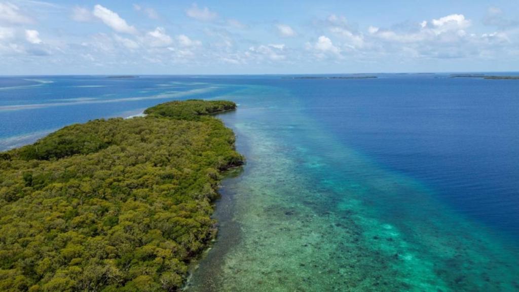 listing image with ID 65090