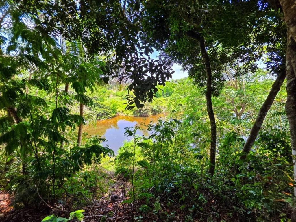 listing image with ID 64281