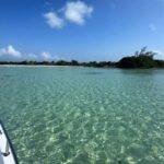 listing image thumbnail with ID 66125