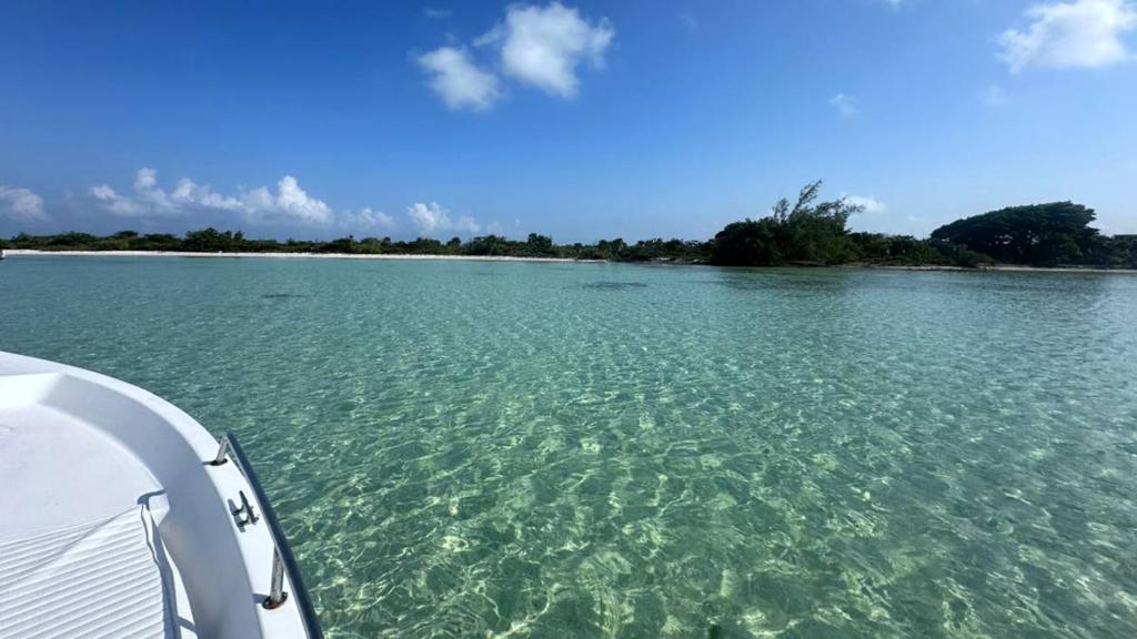 listing image with ID 66125