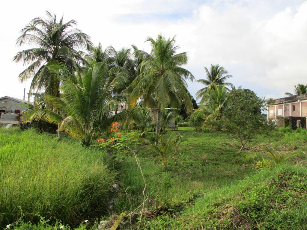 listing image with ID 64157