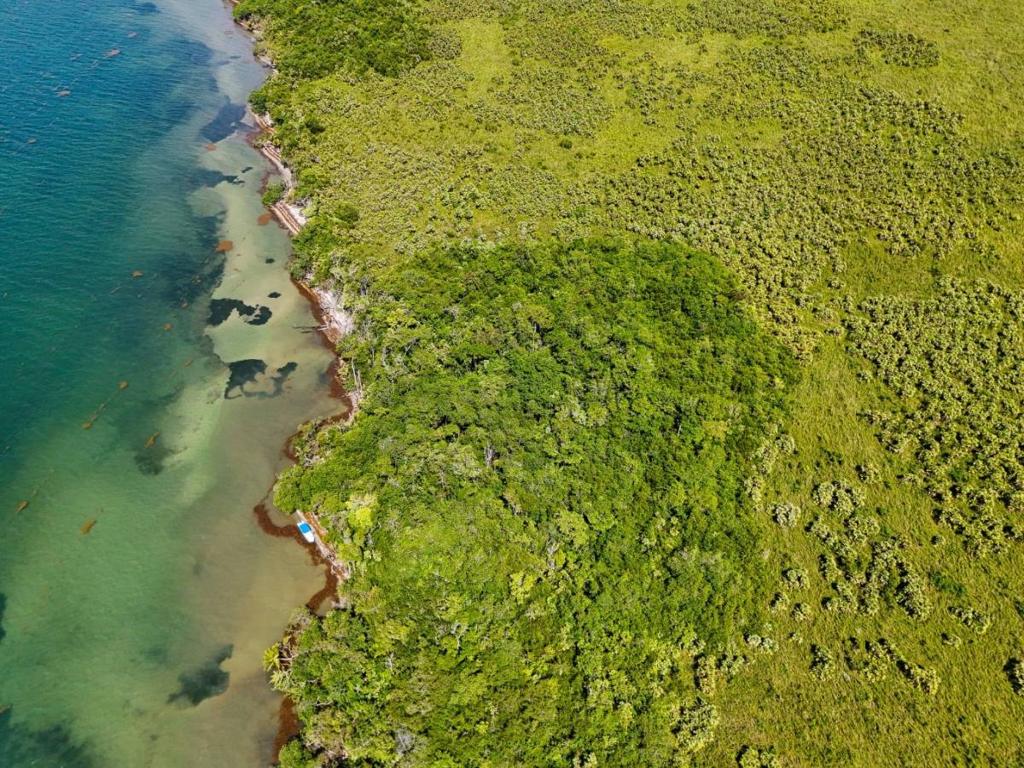 listing image with ID 63746