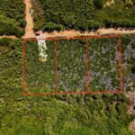 listing image thumbnail with ID 68177