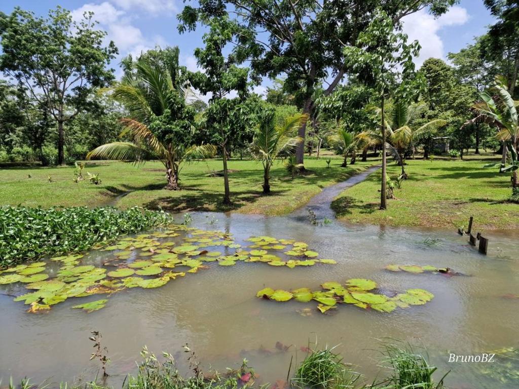 listing image with ID 67882