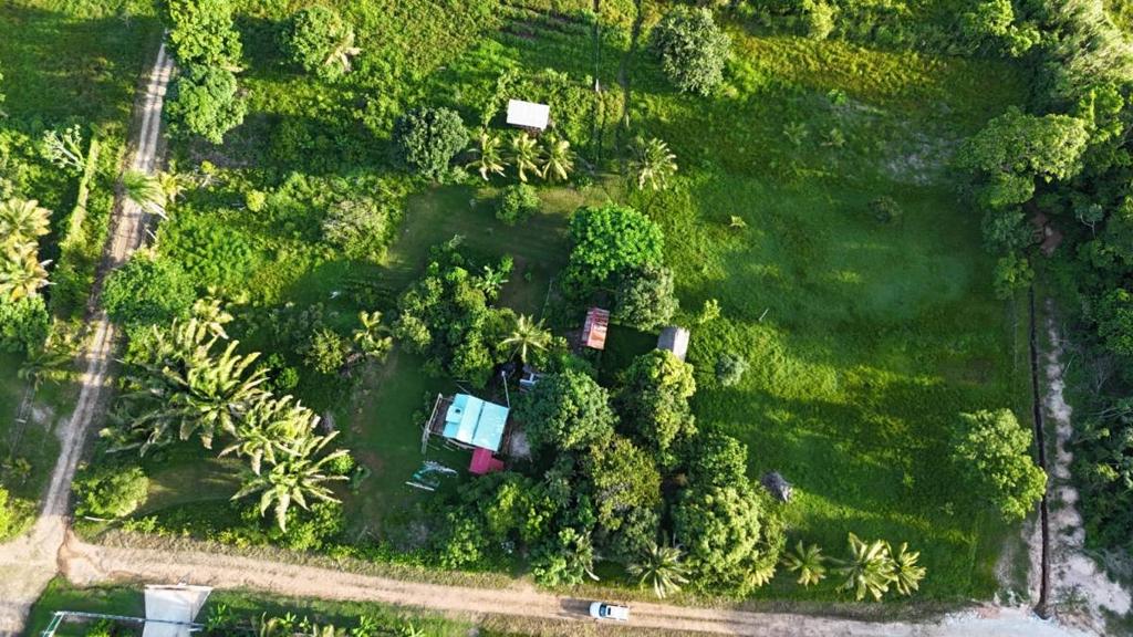 listing image with ID 67190