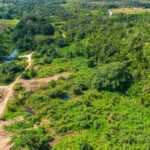 listing image thumbnail with ID 69110