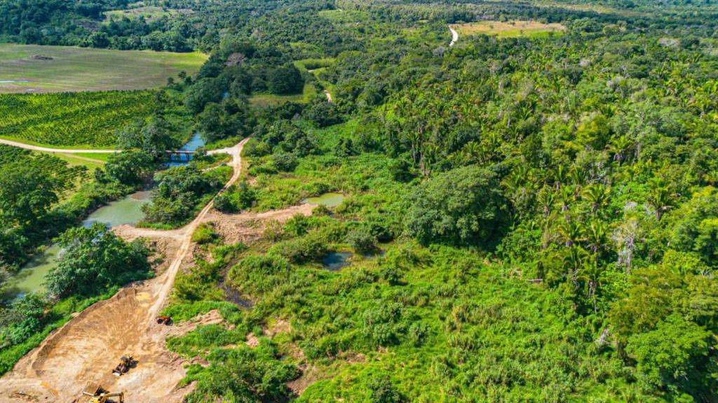 listing image with ID 69110