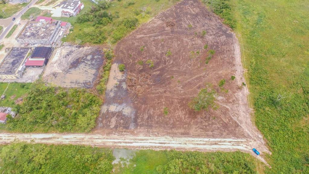 listing image with ID 67025