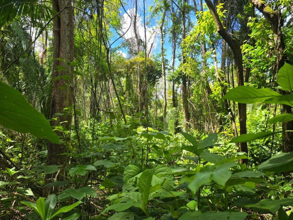 listing image with ID 66663