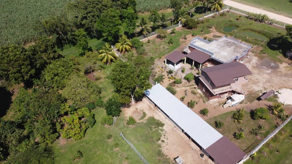 listing image with ID 64928