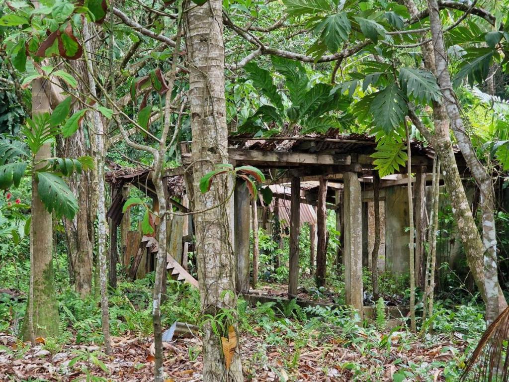 listing image with ID 63709