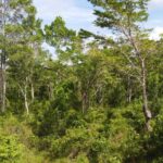 listing image thumbnail with ID 63958