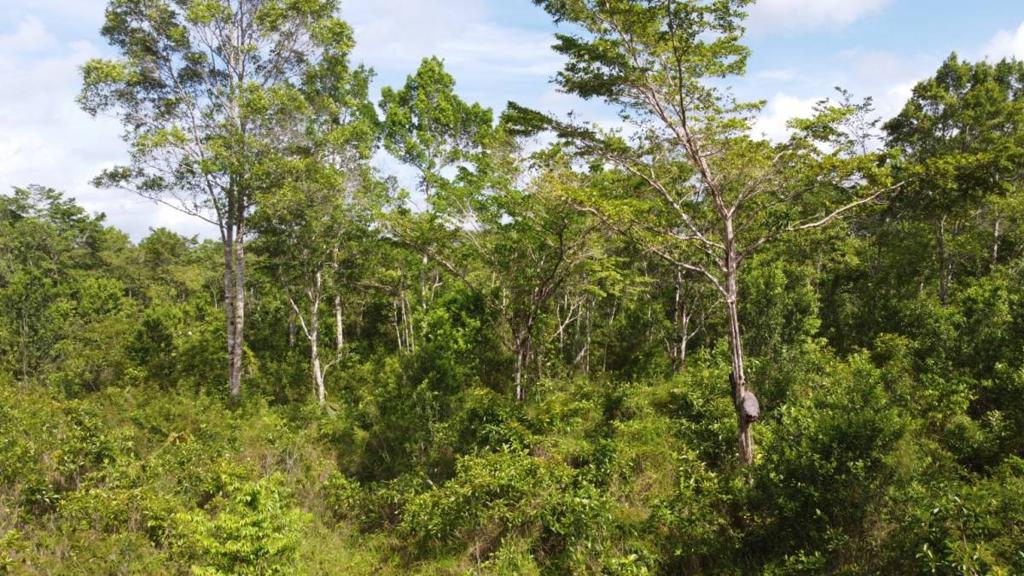 listing image with ID 63958