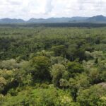 listing image thumbnail with ID 64224