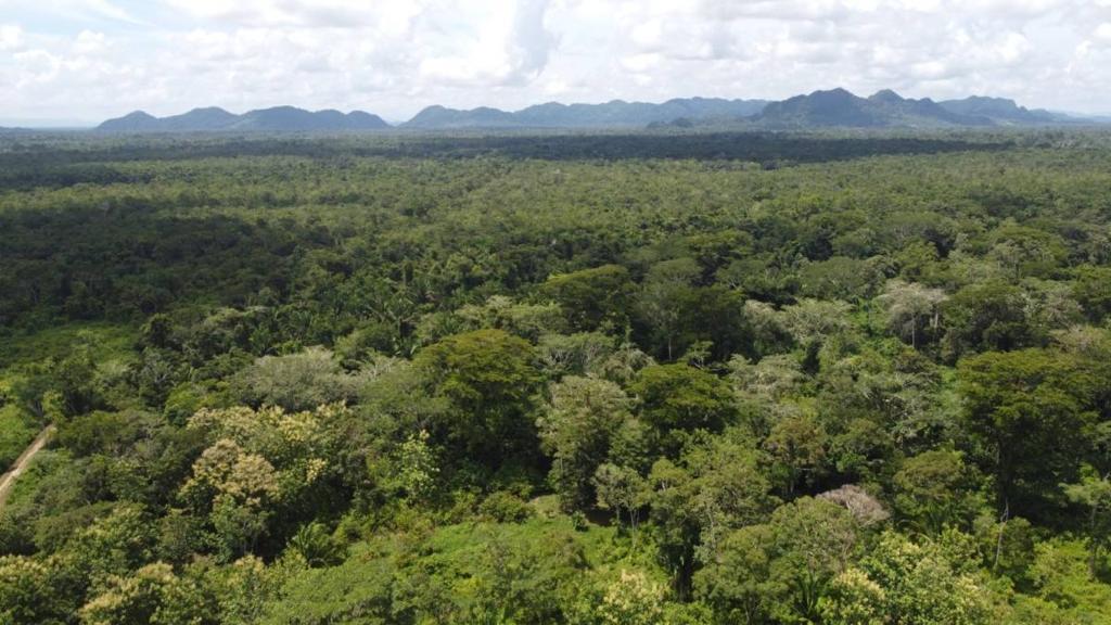 listing image with ID 64224