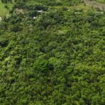 listing image thumbnail with ID 66674