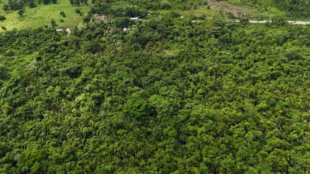 listing image with ID 66674