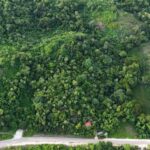 listing image thumbnail with ID 65878