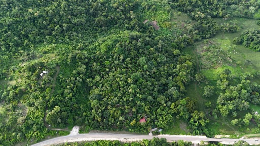 listing image with ID 65878