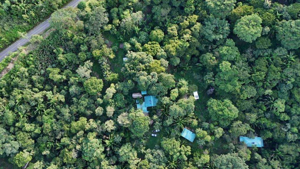 listing image with ID 66901