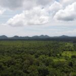 listing image thumbnail with ID 64220