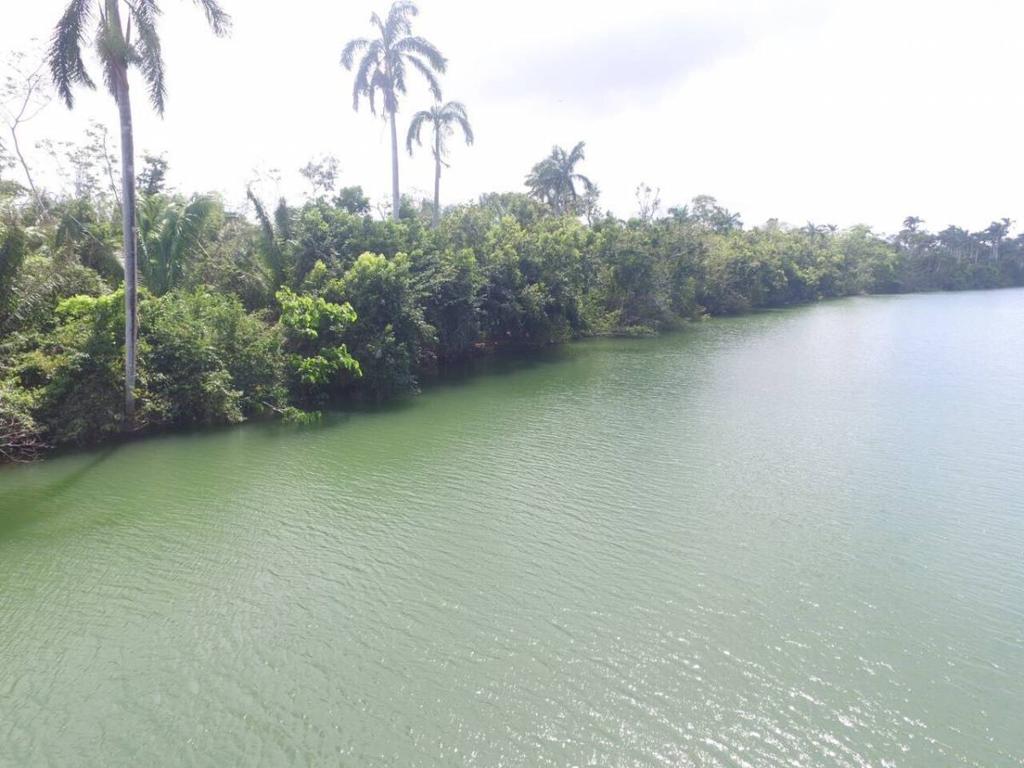 listing image with ID 63802