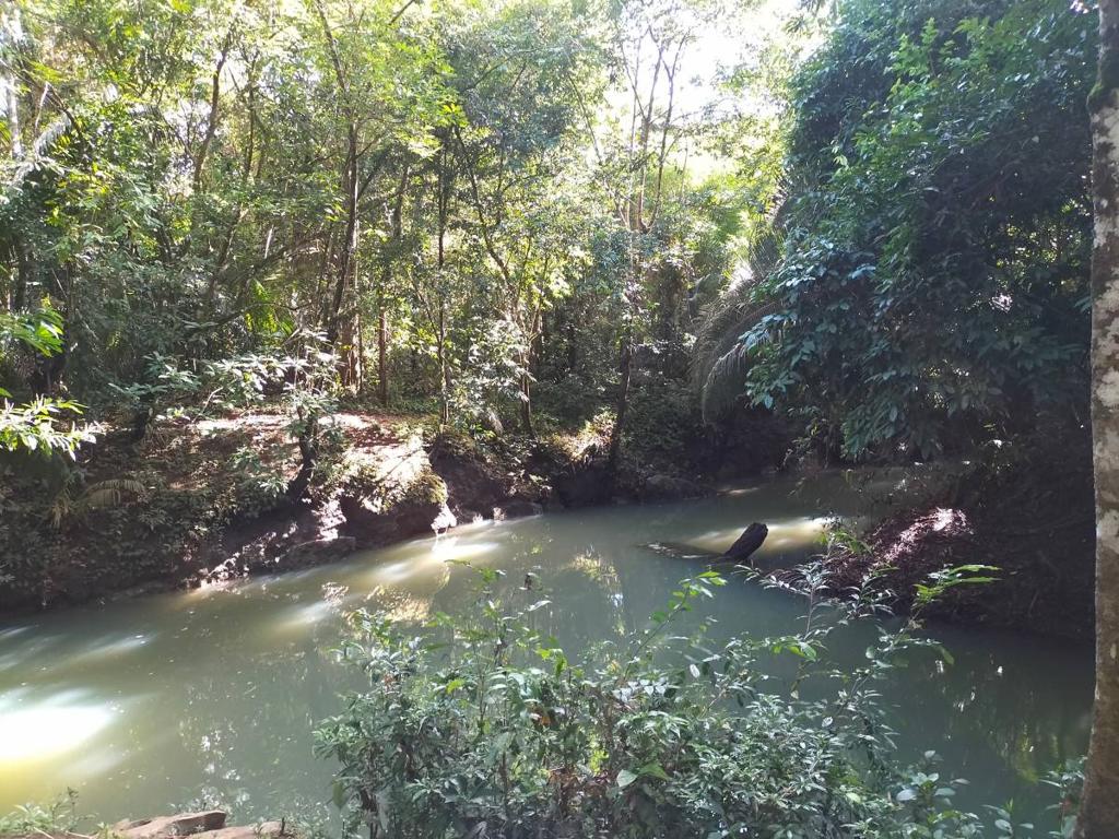 listing image with ID 65516