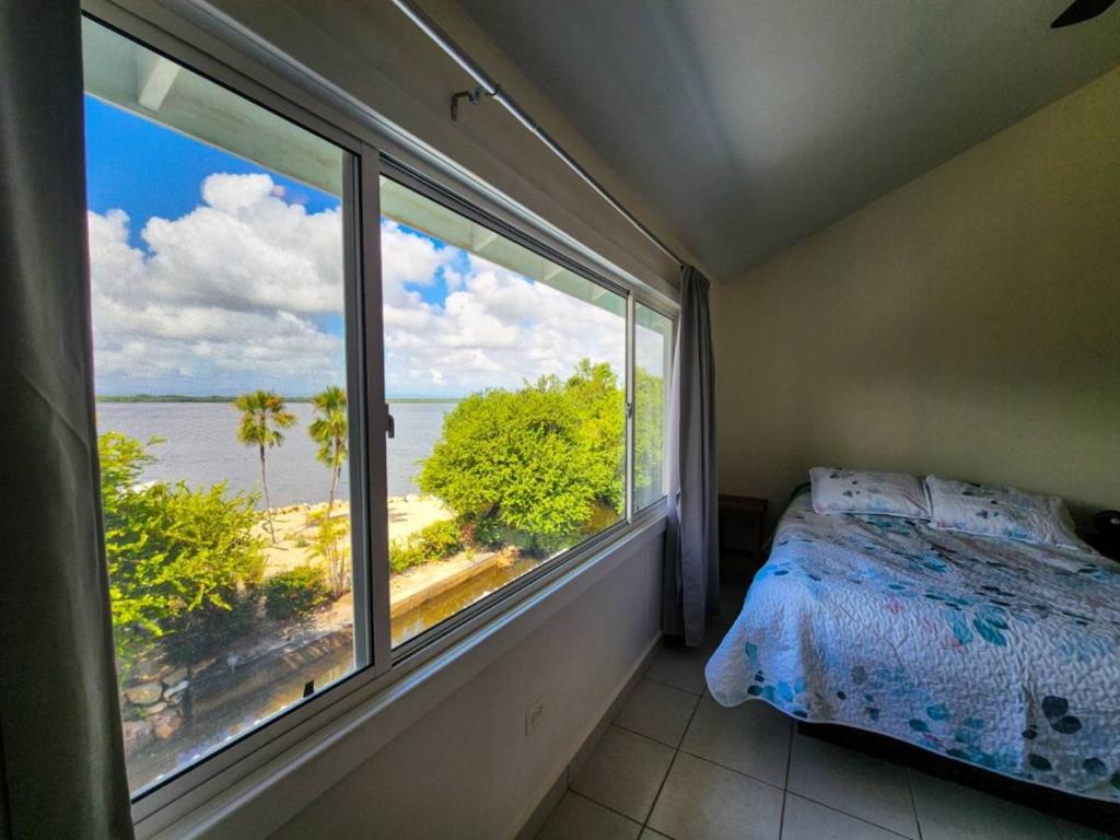 listing image with ID 66368