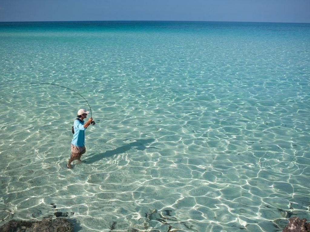 listing image with ID 68614