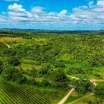 listing image thumbnail with ID 69118