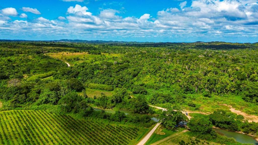 listing image with ID 69118