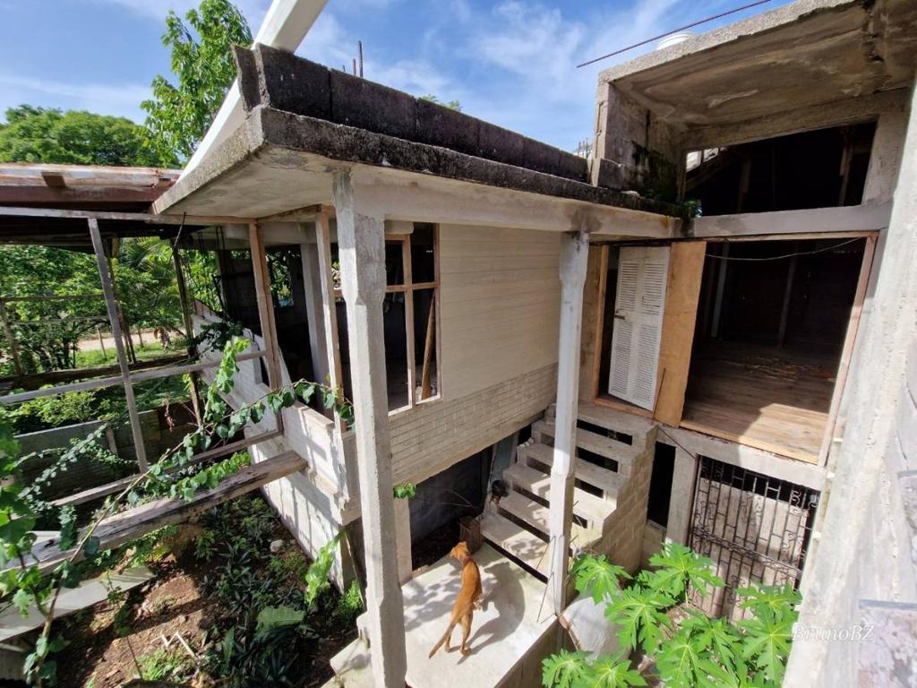 listing image with ID 67486