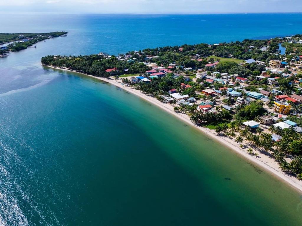 listing image with ID 64546