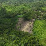 listing image thumbnail with ID 68262