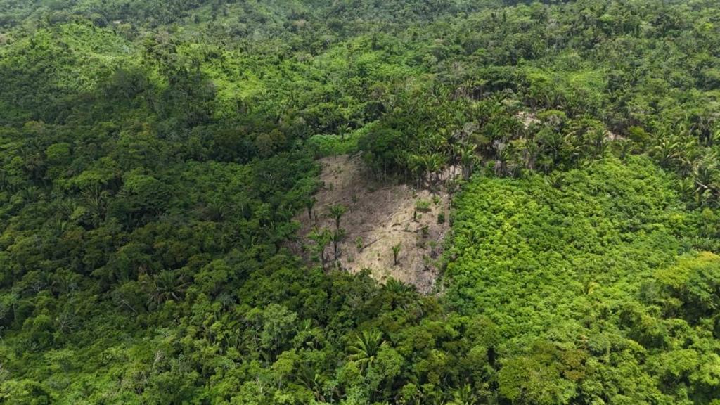 listing image with ID 68262