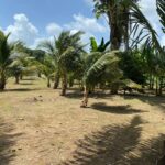 listing image thumbnail with ID 67669