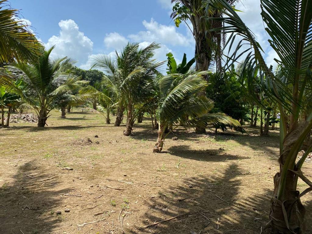 listing image with ID 67669