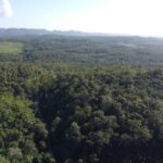 listing image thumbnail with ID 67757