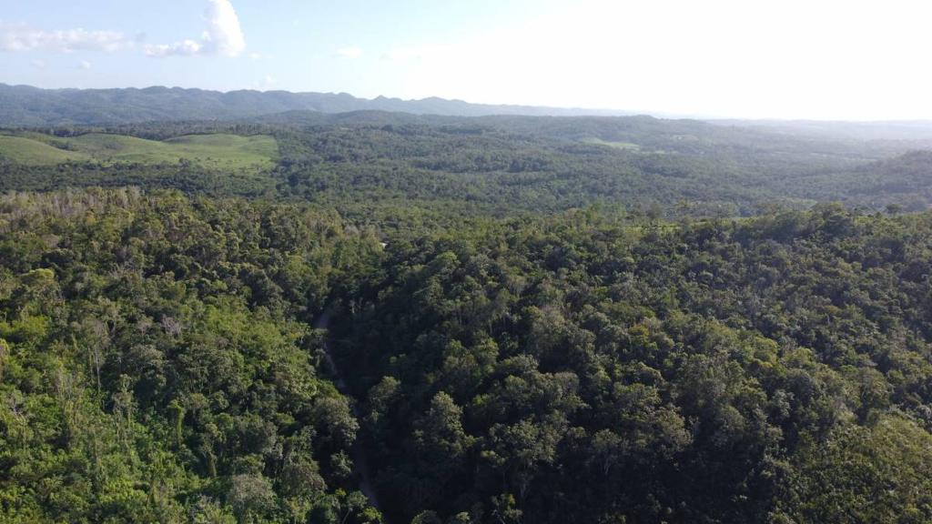 listing image with ID 67757