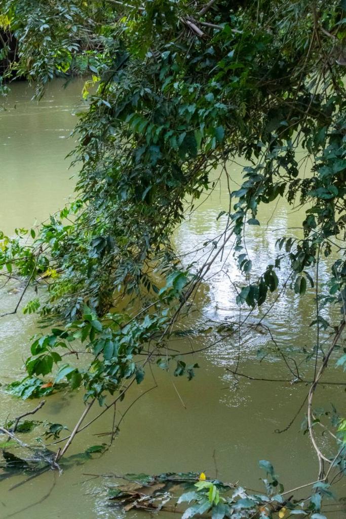 listing image with ID 67704