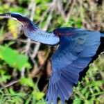 listing image thumbnail with ID 67461