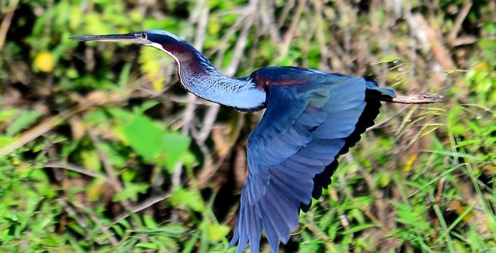 listing image with ID 67461