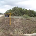 listing image thumbnail with ID 65918