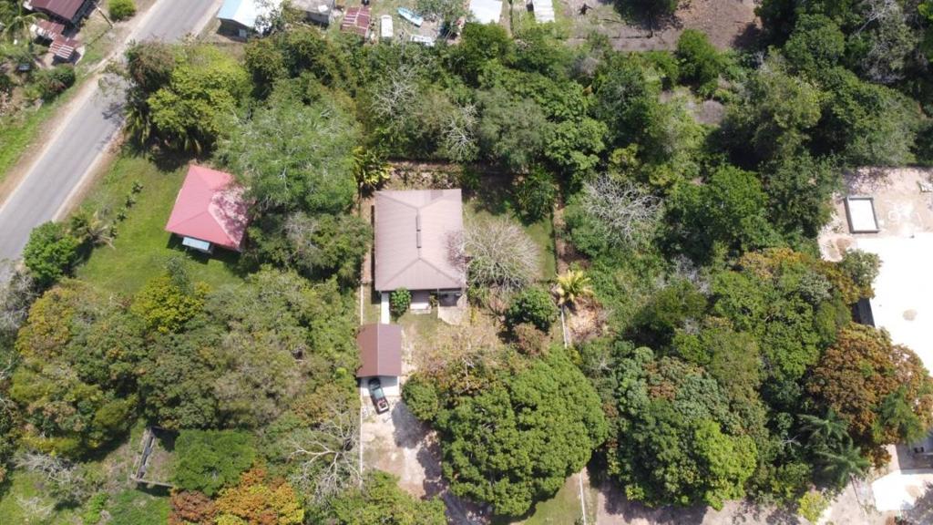 listing image with ID 65581