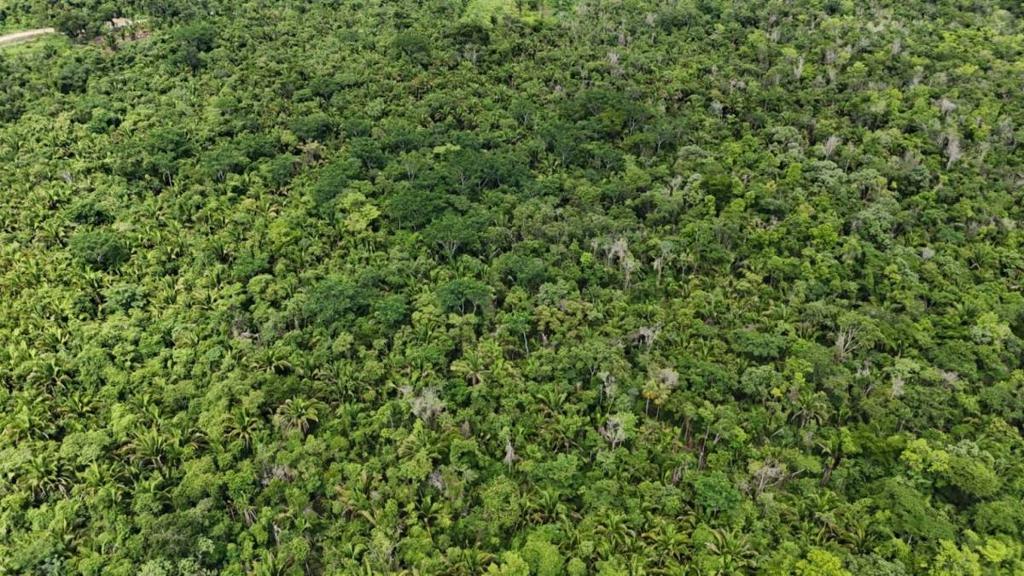 listing image with ID 66656