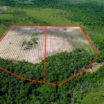 listing image thumbnail with ID 65293