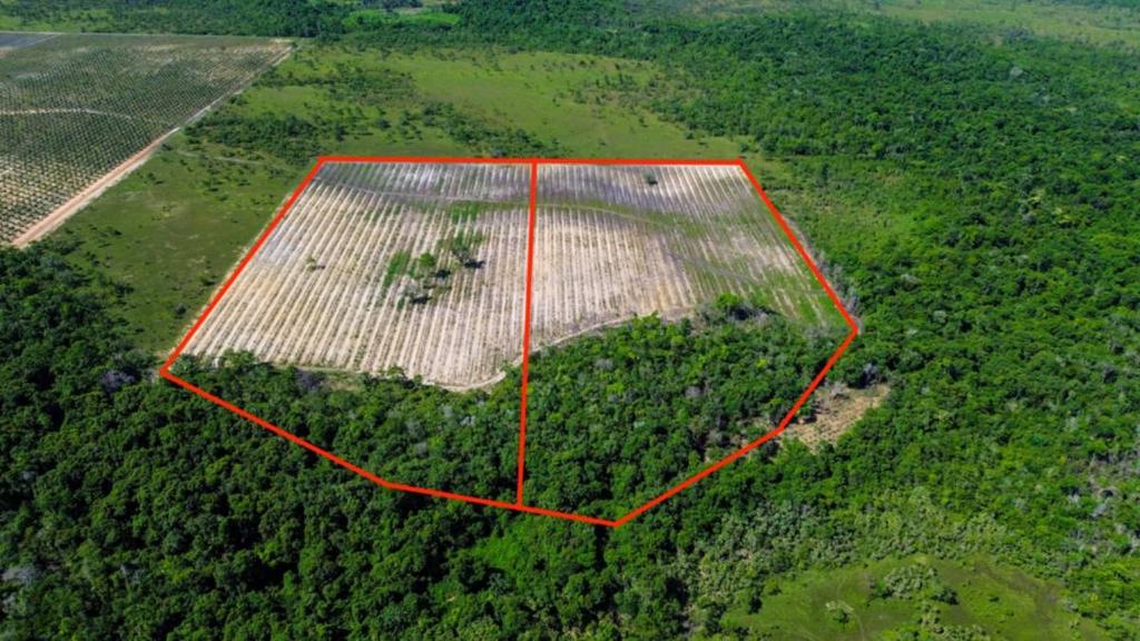 listing image with ID 65293