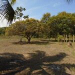 listing image thumbnail with ID 64445