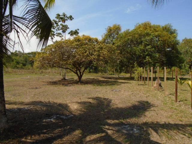 listing image with ID 64445