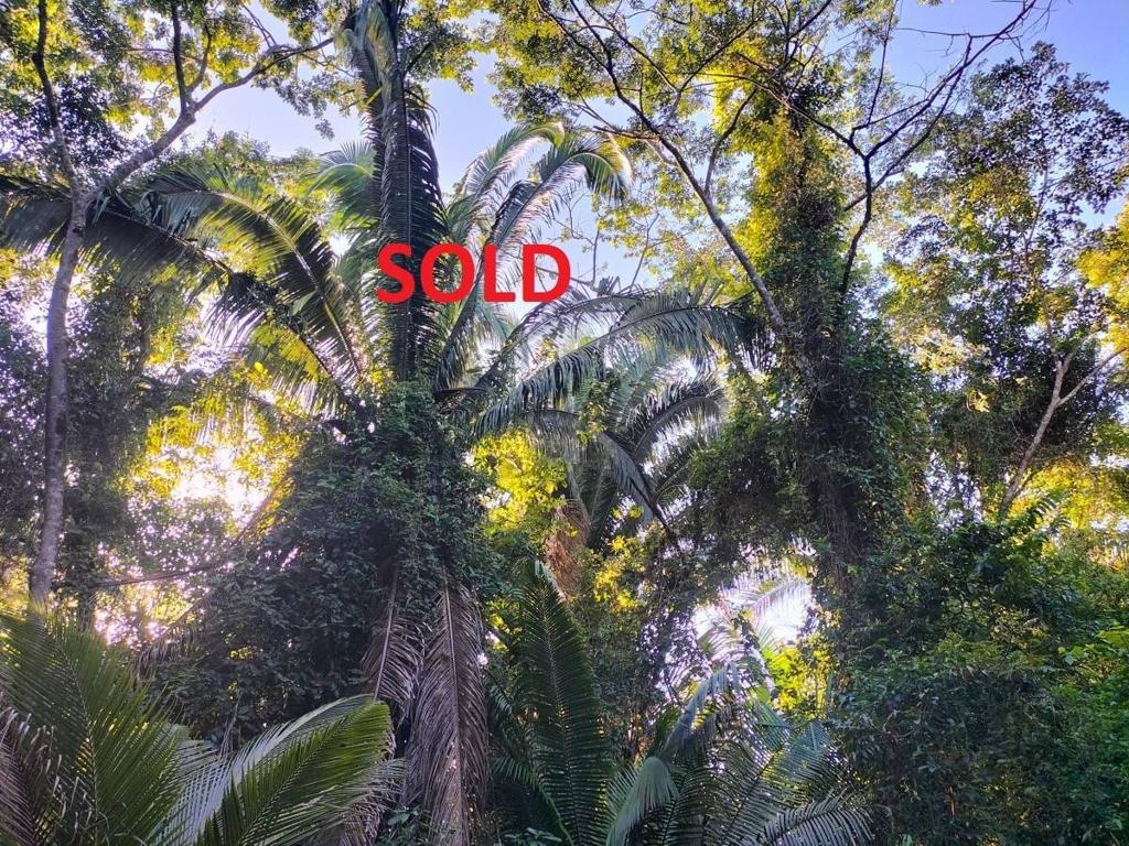 listing image with ID 64762